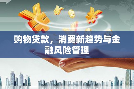 巩义购物贷款，消费新趋势与金融风险管理