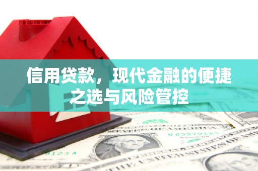 巩义信用贷款，现代金融的便捷之选与风险管控