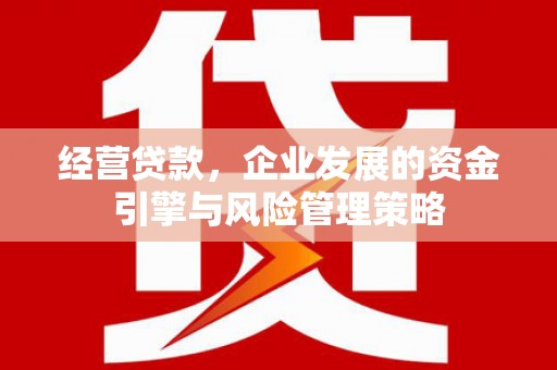 巩义经营贷款，企业发展的资金引擎与风险管理策略