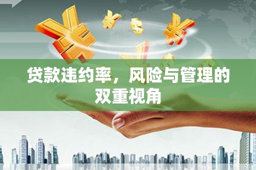 巩义贷款违约率，风险与管理的双重视角