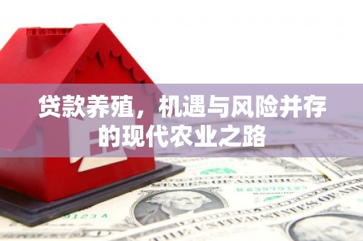 巩义贷款养殖，机遇与风险并存的现代农业之路