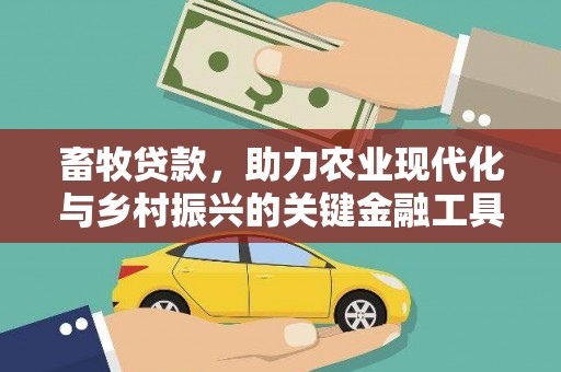 巩义畜牧贷款，助力农业现代化与乡村振兴的关键金融工具