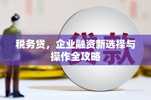 巩义税务贷，企业融资新选择与操作全攻略