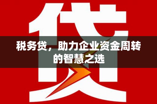 巩义税务贷，助力企业资金周转的智慧之选
