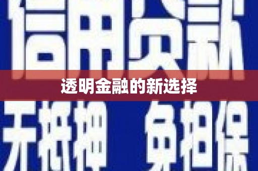 巩义透明金融的新选择