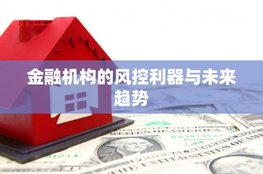 巩义金融机构的风控利器与未来趋势
