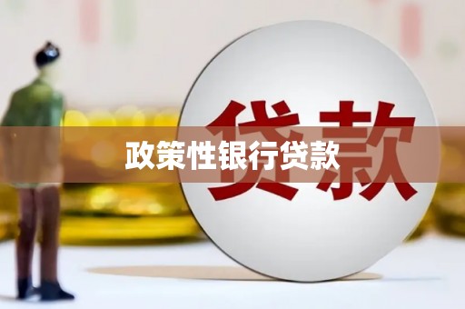 巩义政策性银行贷款