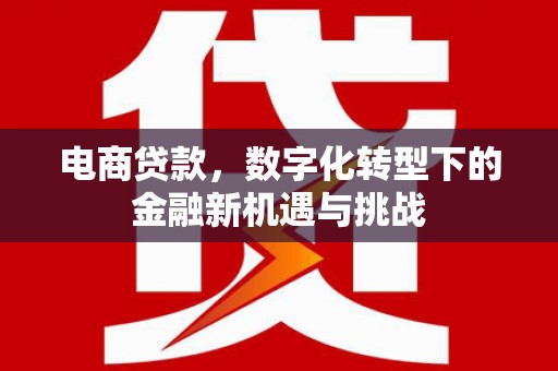 巩义电商贷款，数字化转型下的金融新机遇与挑战