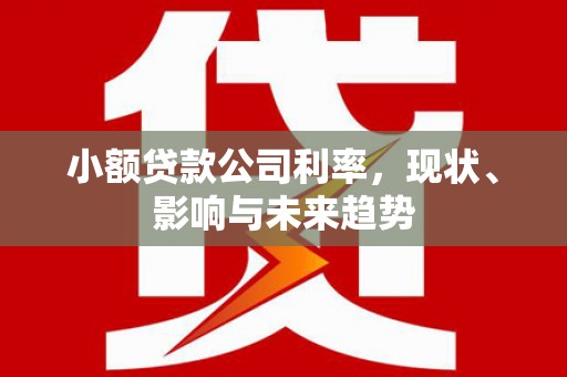 巩义小额贷款公司利率，现状、影响与未来趋势