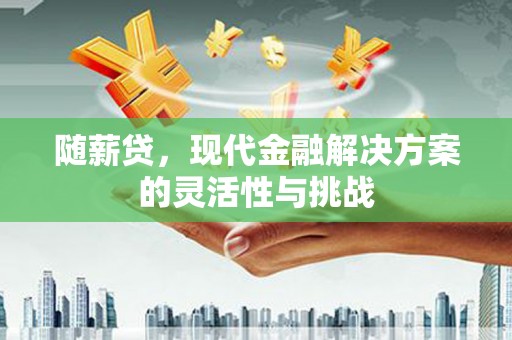 巩义随薪贷，现代金融解决方案的灵活性与挑战
