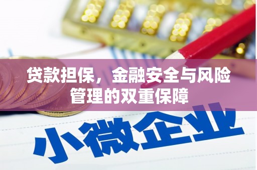巩义贷款担保，金融安全与风险管理的双重保障