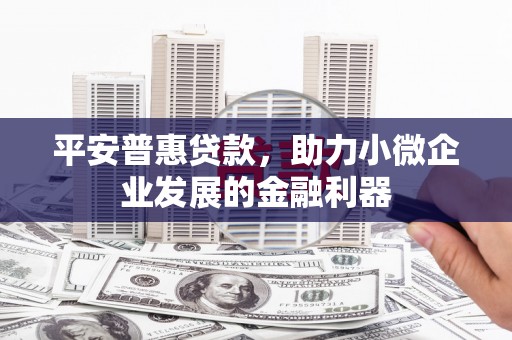 巩义平安普惠贷款，助力小微企业发展的金融利器