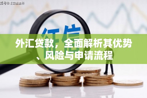 巩义外汇贷款，全面解析其优势、风险与申请流程