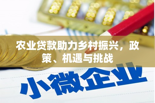 巩义农业贷款助力乡村振兴，政策、机遇与挑战