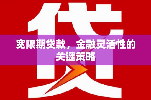 巩义宽限期贷款，金融灵活性的关键策略