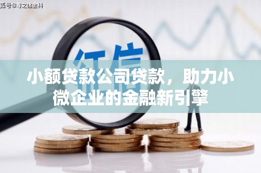 巩义小额贷款公司贷款，助力小微企业的金融新引擎
