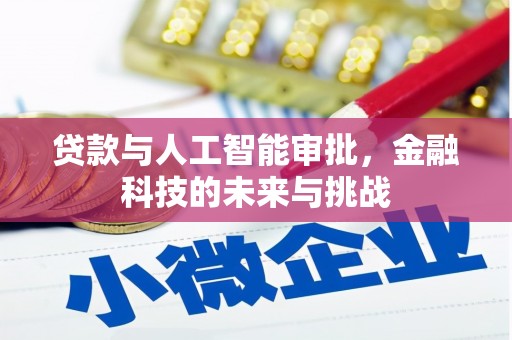 巩义贷款与人工智能审批，金融科技的未来与挑战