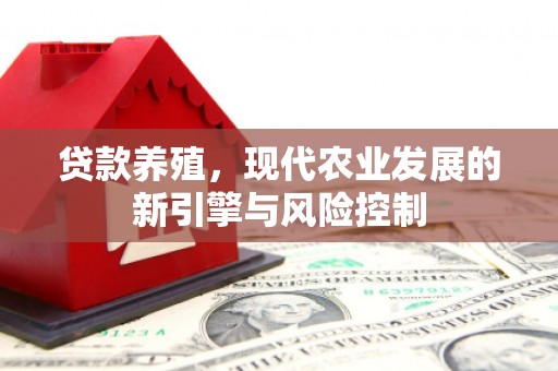 巩义贷款养殖，现代农业发展的新引擎与风险控制