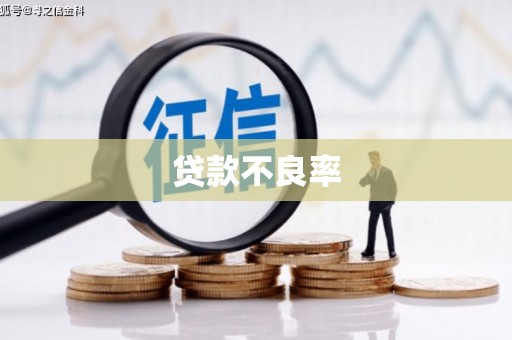 巩义贷款不良率