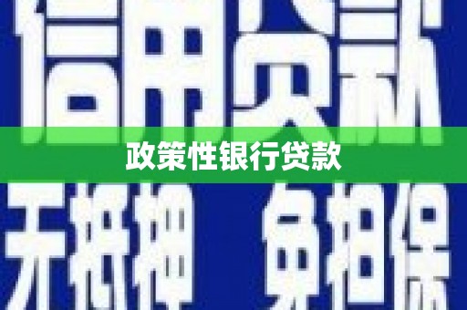 巩义政策性银行贷款