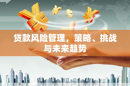巩义贷款风险管理，策略、挑战与未来趋势