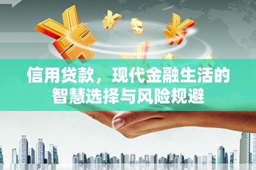 巩义信用贷款，现代金融生活的智慧选择与风险规避
