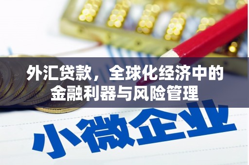 巩义外汇贷款，全球化经济中的金融利器与风险管理