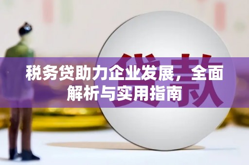 巩义税务贷助力企业发展，全面解析与实用指南