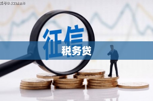 巩义税务贷