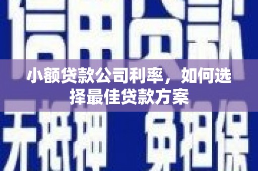 巩义小额贷款公司利率，如何选择最佳贷款方案