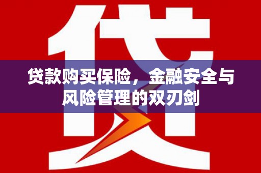 巩义贷款购买保险，金融安全与风险管理的双刃剑