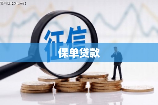 巩义保单贷款