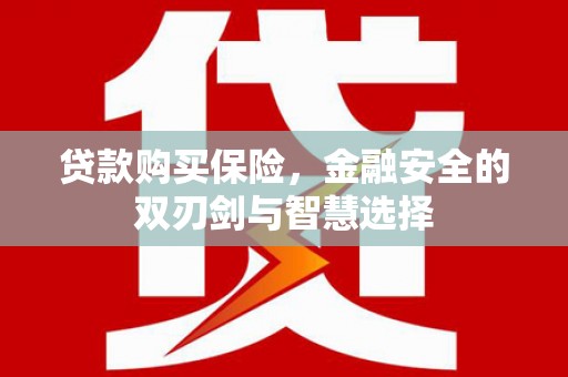 巩义贷款购买保险，金融安全的双刃剑与智慧选择