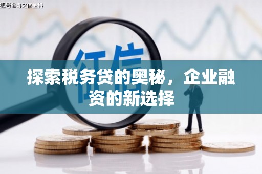 巩义探索税务贷的奥秘，企业融资的新选择