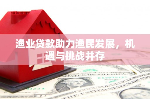 巩义渔业贷款助力渔民发展，机遇与挑战并存