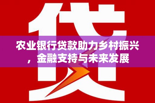 巩义农业银行贷款助力乡村振兴，金融支持与未来发展