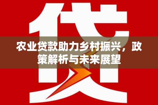 巩义农业贷款助力乡村振兴，政策解析与未来展望