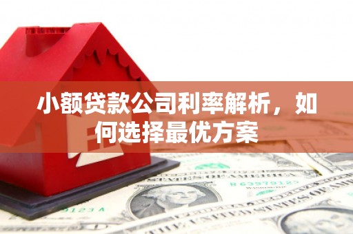 巩义小额贷款公司利率解析，如何选择最优方案