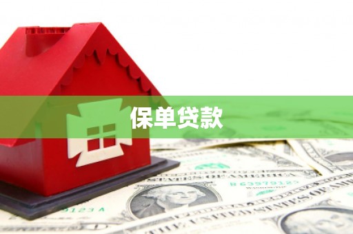 巩义保单贷款