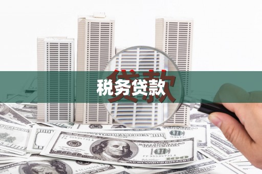 巩义税务贷款