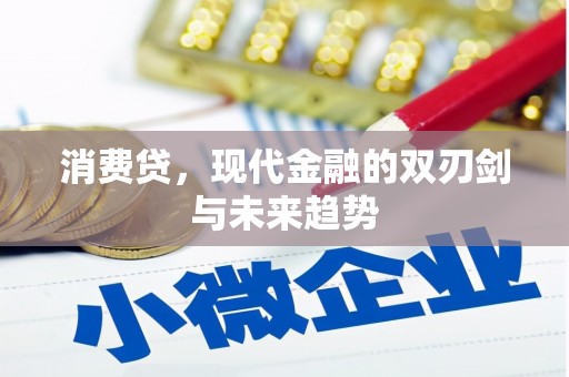 巩义消费贷，现代金融的双刃剑与未来趋势