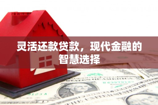 巩义灵活还款贷款，现代金融的智慧选择