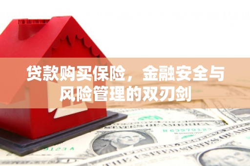 巩义贷款购买保险，金融安全与风险管理的双刃剑