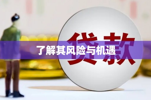 巩义了解其风险与机遇