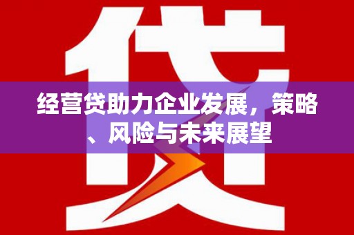 巩义经营贷助力企业发展，策略、风险与未来展望