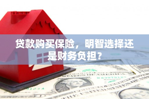 巩义贷款购买保险，明智选择还是财务负担？