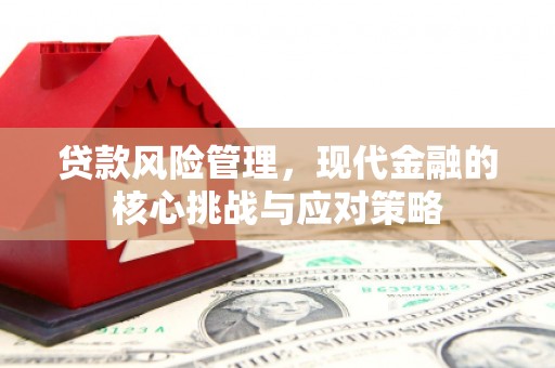 巩义贷款风险管理，现代金融的核心挑战与应对策略