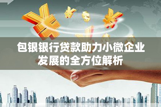 巩义包银银行贷款助力小微企业发展的全方位解析