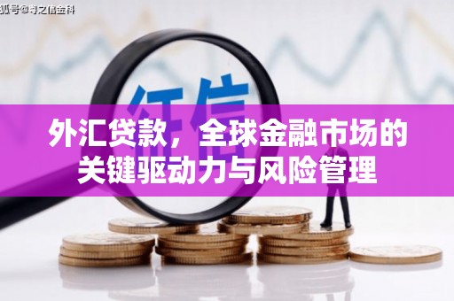 巩义外汇贷款，全球金融市场的关键驱动力与风险管理