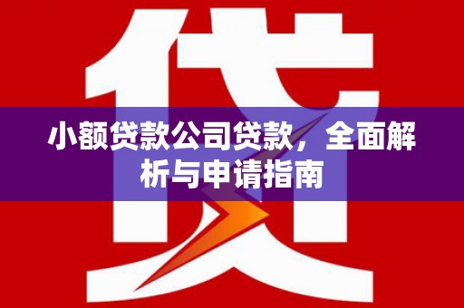 巩义小额贷款公司贷款，全面解析与申请指南